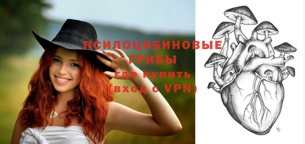 хмурый Балабаново