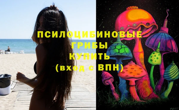 хмурый Балабаново