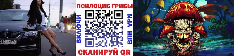 Галлюциногенные грибы Psilocybine cubensis  Ершов 